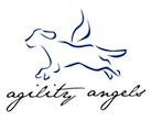 Agility Angels